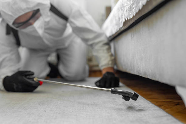 Professional Termite Control technician working in Osprey, FL