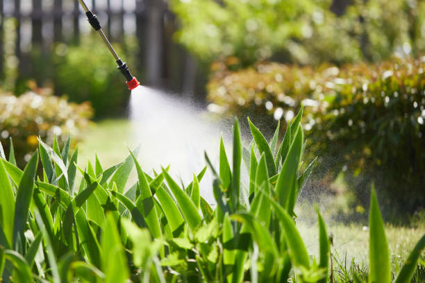 24/7 Emergency Termite Control experts in Osprey, FL
